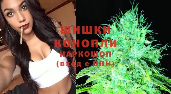винт Баксан