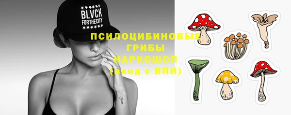 тгк Балахна
