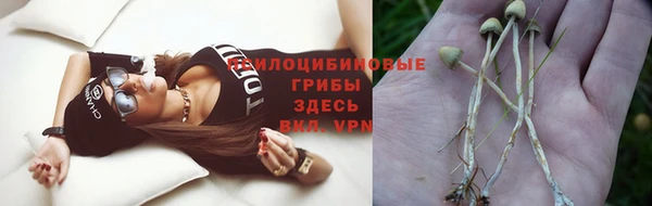 тгк Балахна