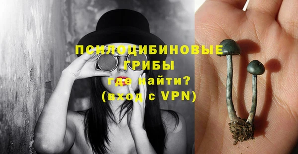 тгк Балахна