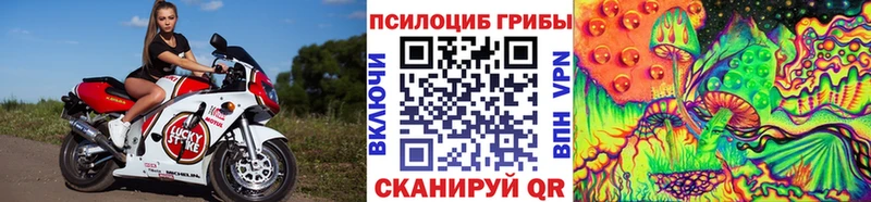 Галлюциногенные грибы MAGIC MUSHROOMS  darknet официальный сайт  Олонец  закладки 